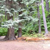 Review photo of Finner Creek Campground by Mercedes D., September 11, 2017