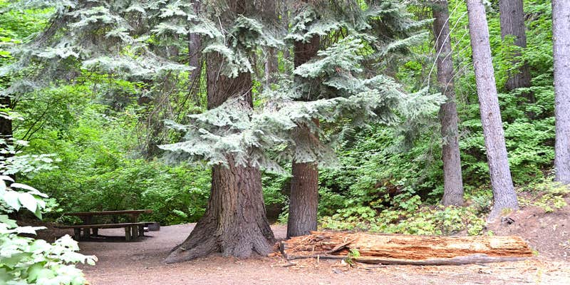 Camper submitted image from Finner Creek Campground