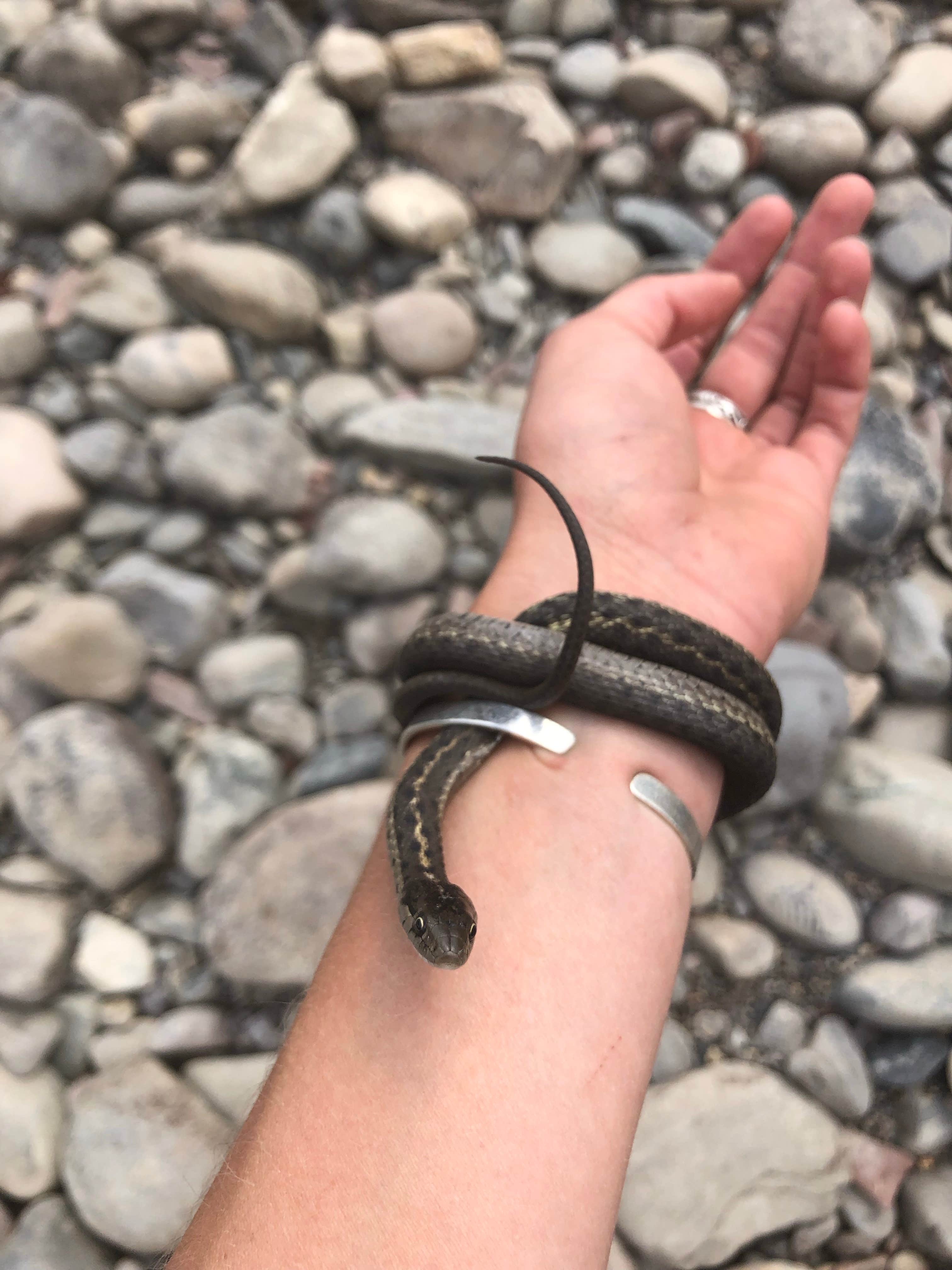 Camper-submitted photo at Snake River — Yellowstone National Park near John D. Rockefeller Jr. Memorial Parkway