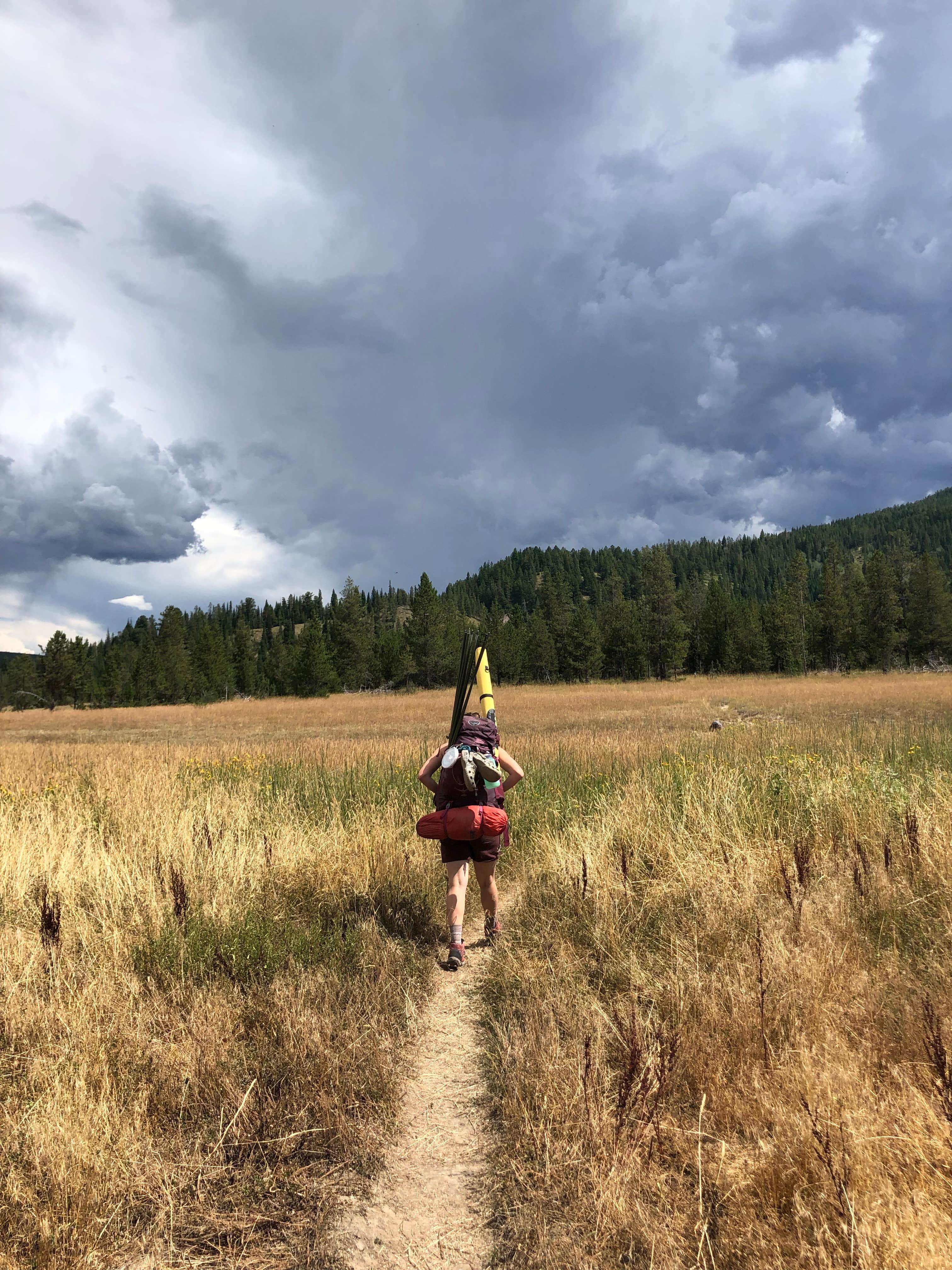 Camper-submitted photo at Snake River — Yellowstone National Park near John D. Rockefeller Jr. Memorial Parkway