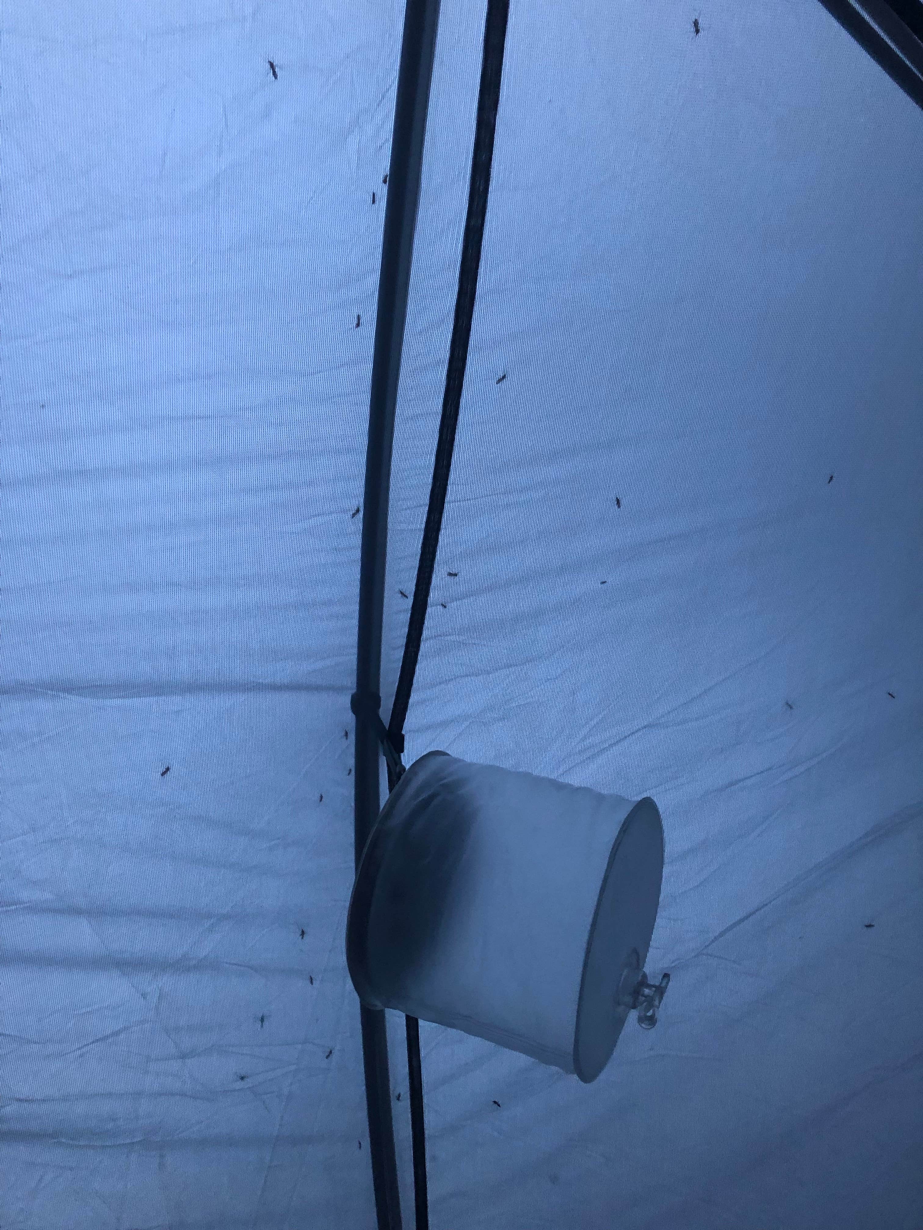 Camper-submitted photo at Shoshone Lake — Yellowstone National Park near Island Park, ID