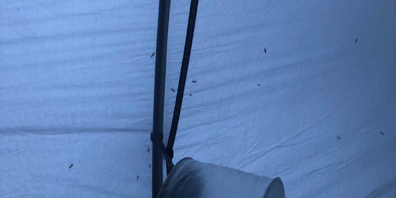 Camper submitted image from Shoshone Lake — Yellowstone National Park