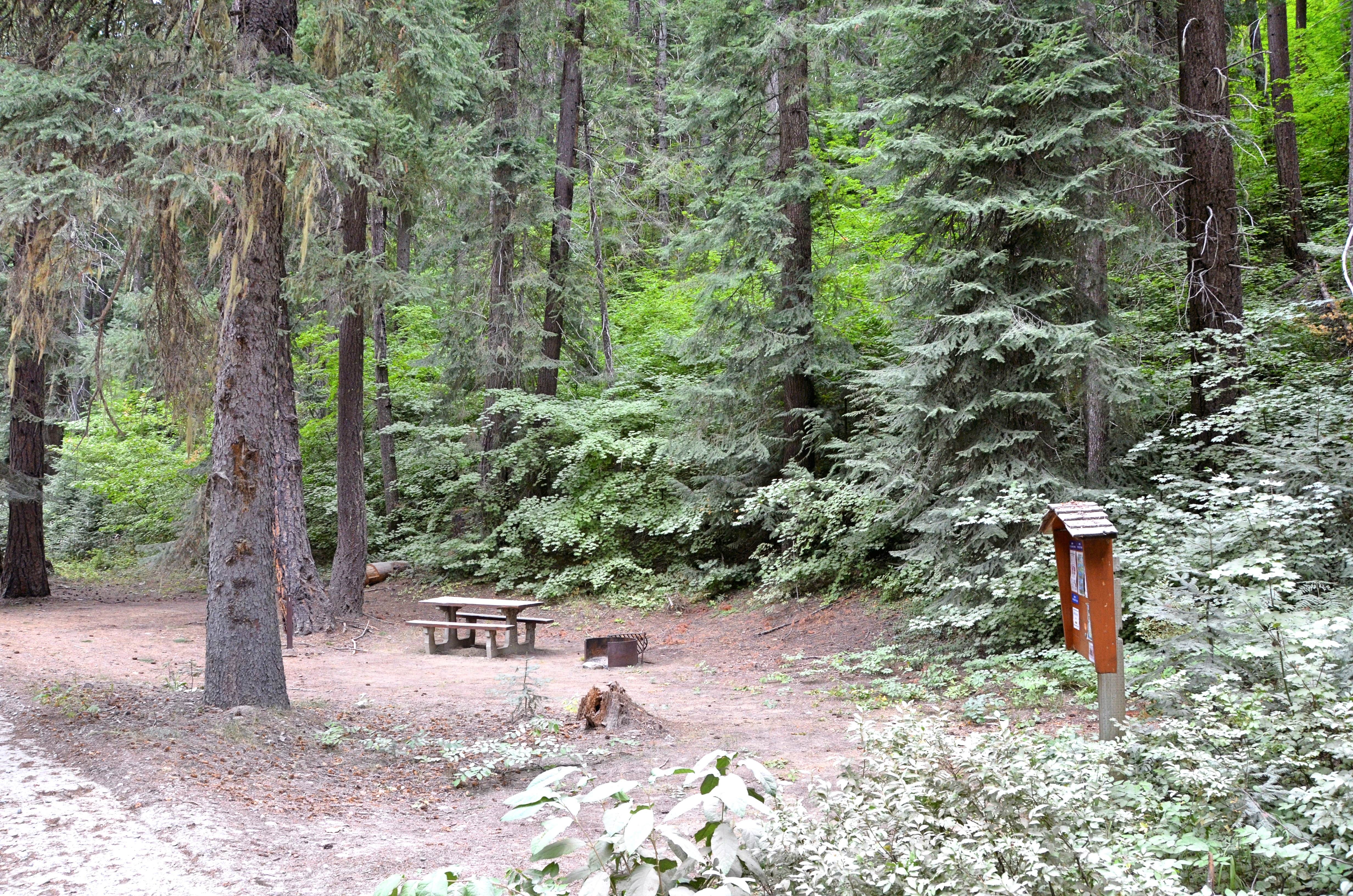 Camper submitted image from Finner Creek Campground - 3