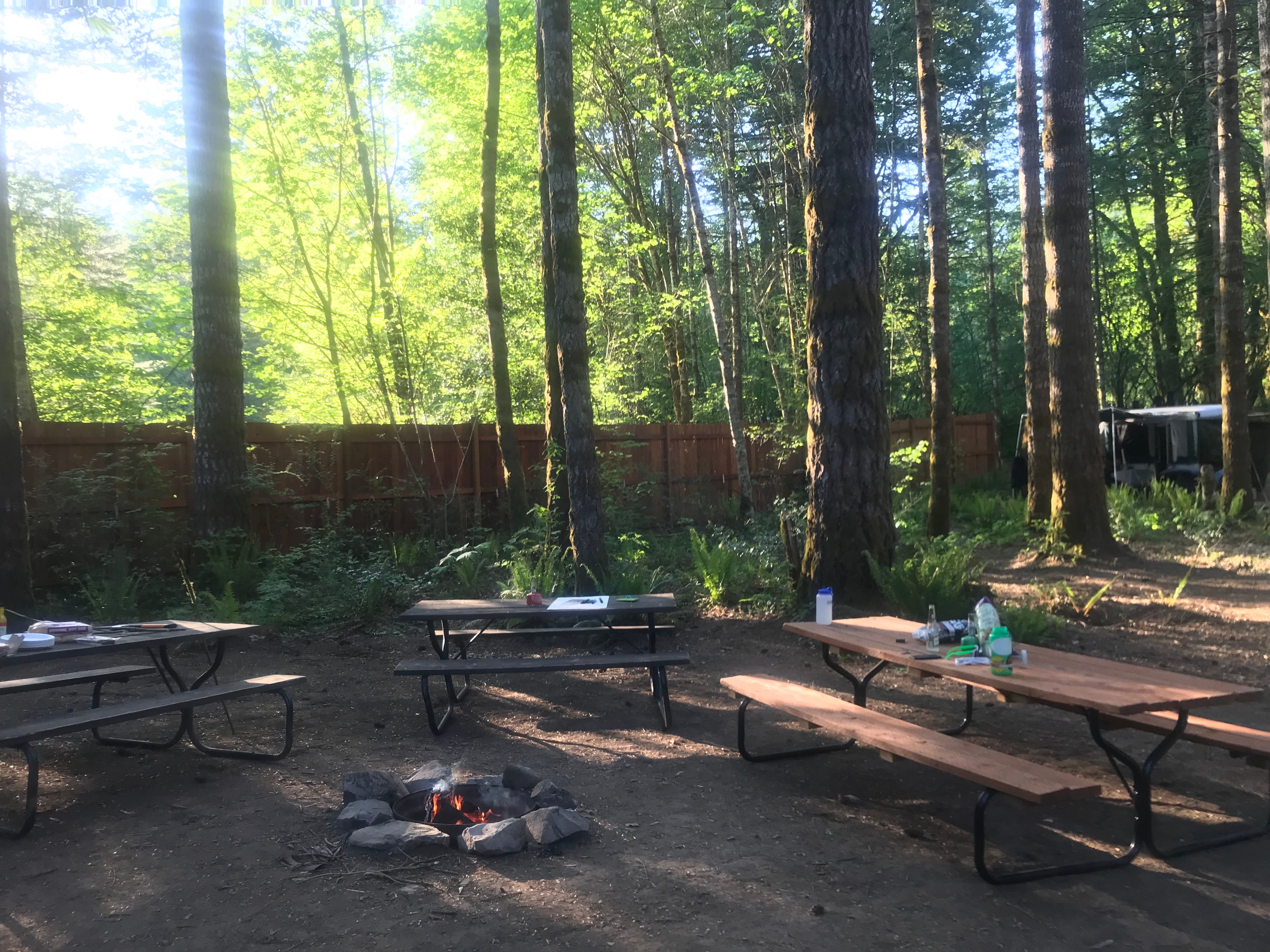 Camper submitted image from Cougar Park & Campground - Tent Only - 5
