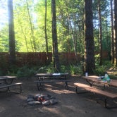 Review photo of Cougar Park & Campground - Tent Only by Charyl B., April 9, 2020