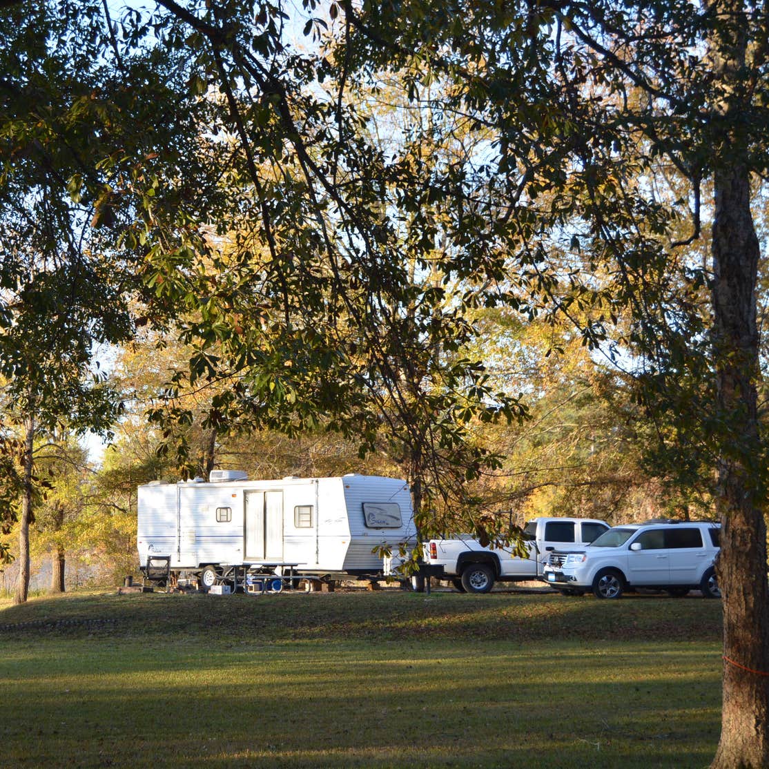 Twiltley Branch Camping The Dyrt