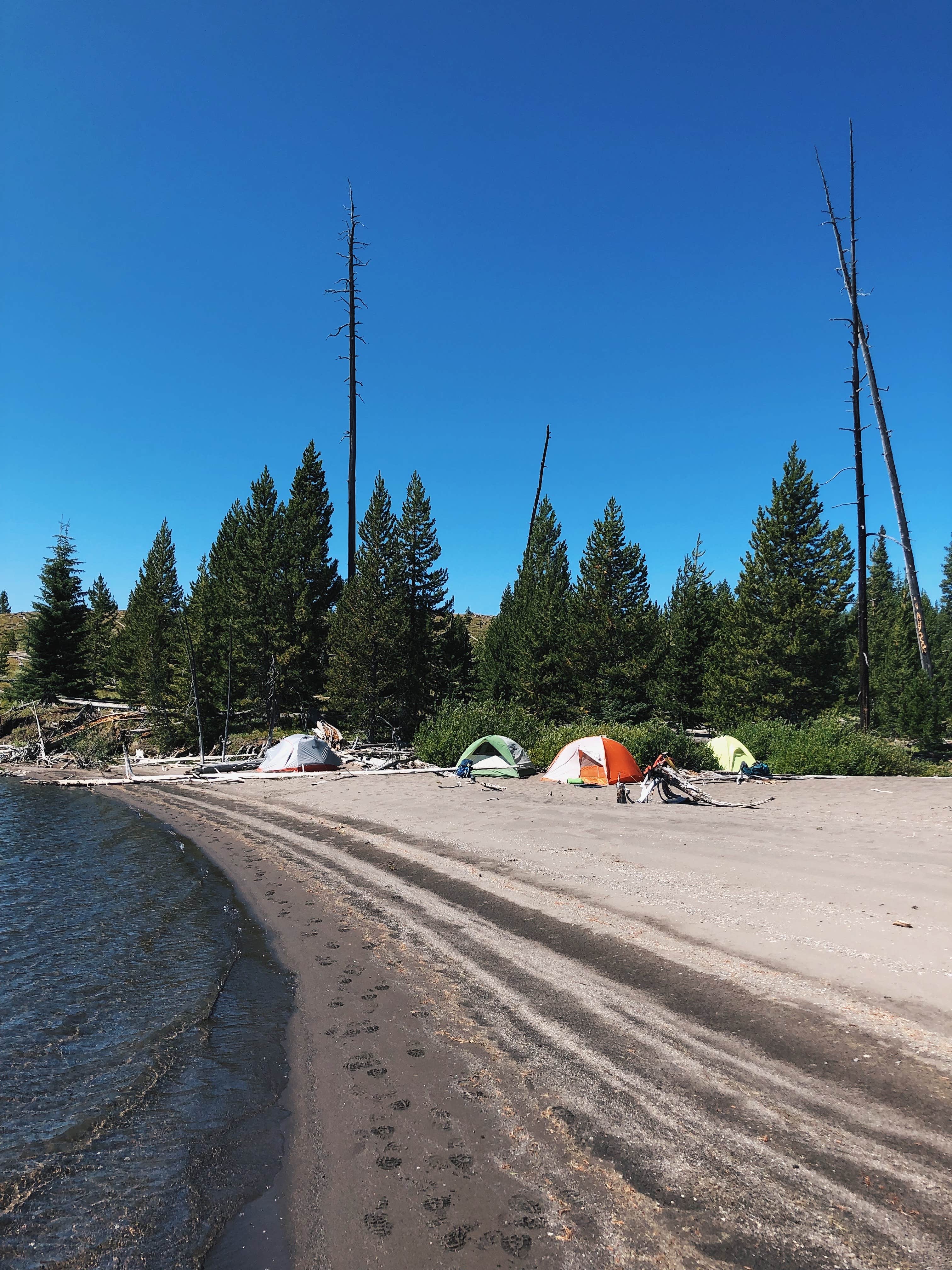 Camper-submitted photo at Yellowstone Lake — Yellowstone National Park near Wapiti, WY