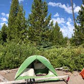 Review photo of Yellowstone Lake — Yellowstone National Park by Lucille W., April 8, 2020