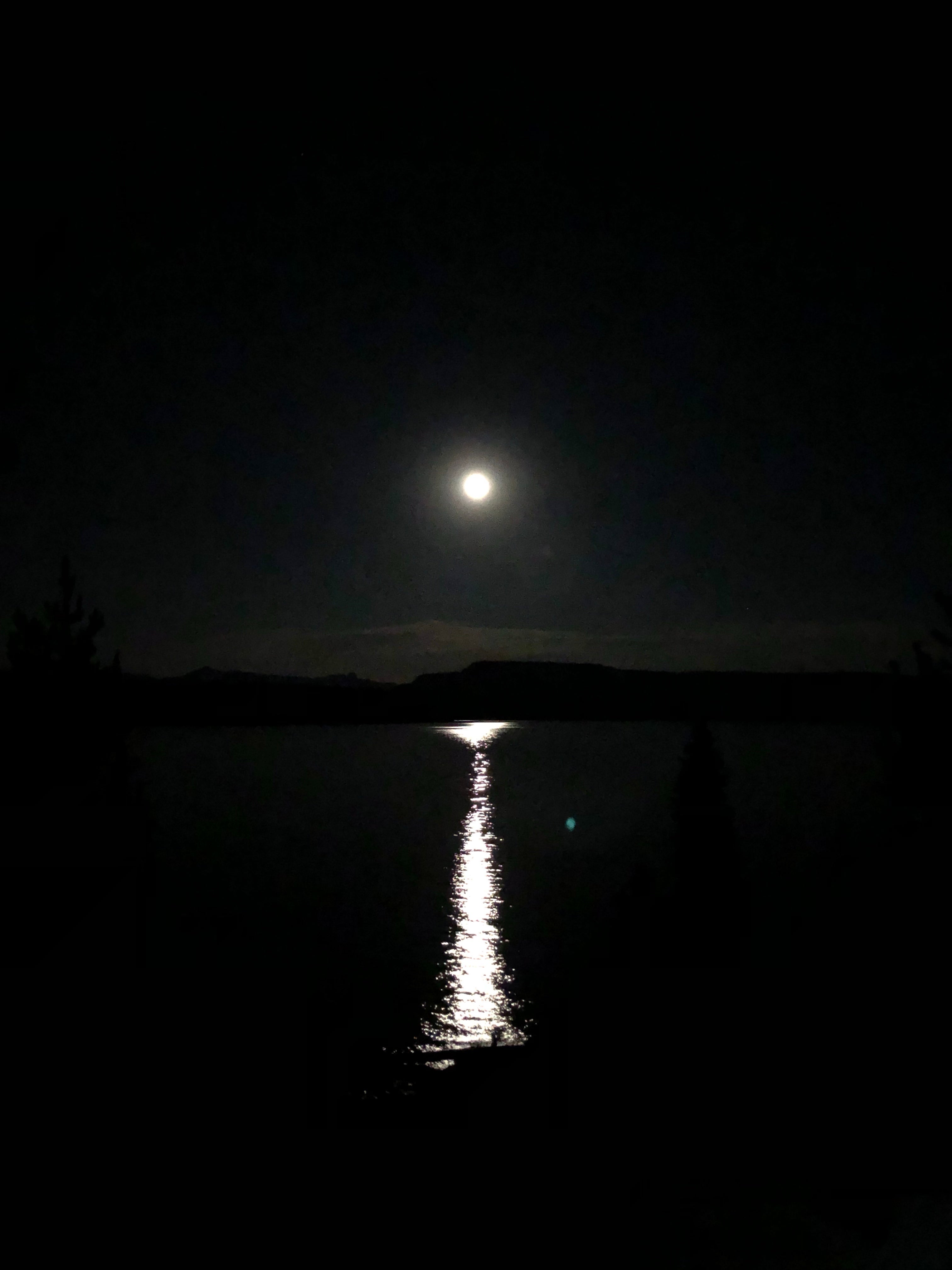 Camper submitted image from Yellowstone Lake — Yellowstone National Park - 1
