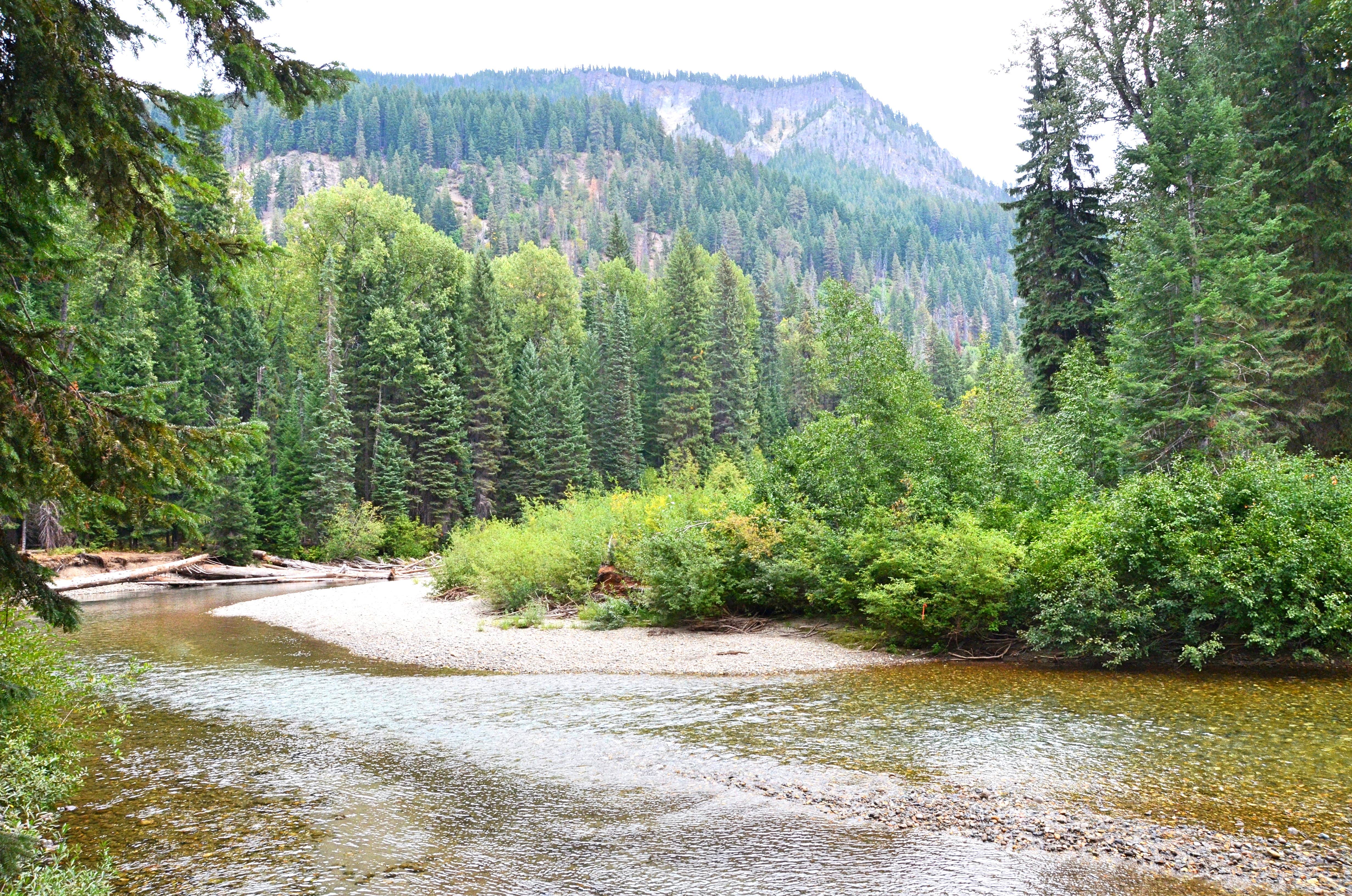 Camper submitted image from Riverbend Campground - 2