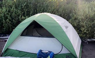 Lucille W.'s photo of a dispersed camping area at Yellowstone Lake — Yellowstone National Park in Wyoming