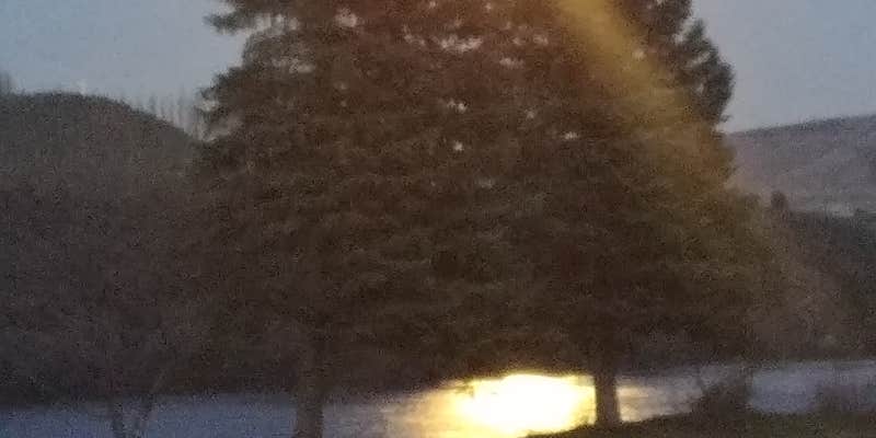 Camper submitted image from Bridgeport Marina RV Park