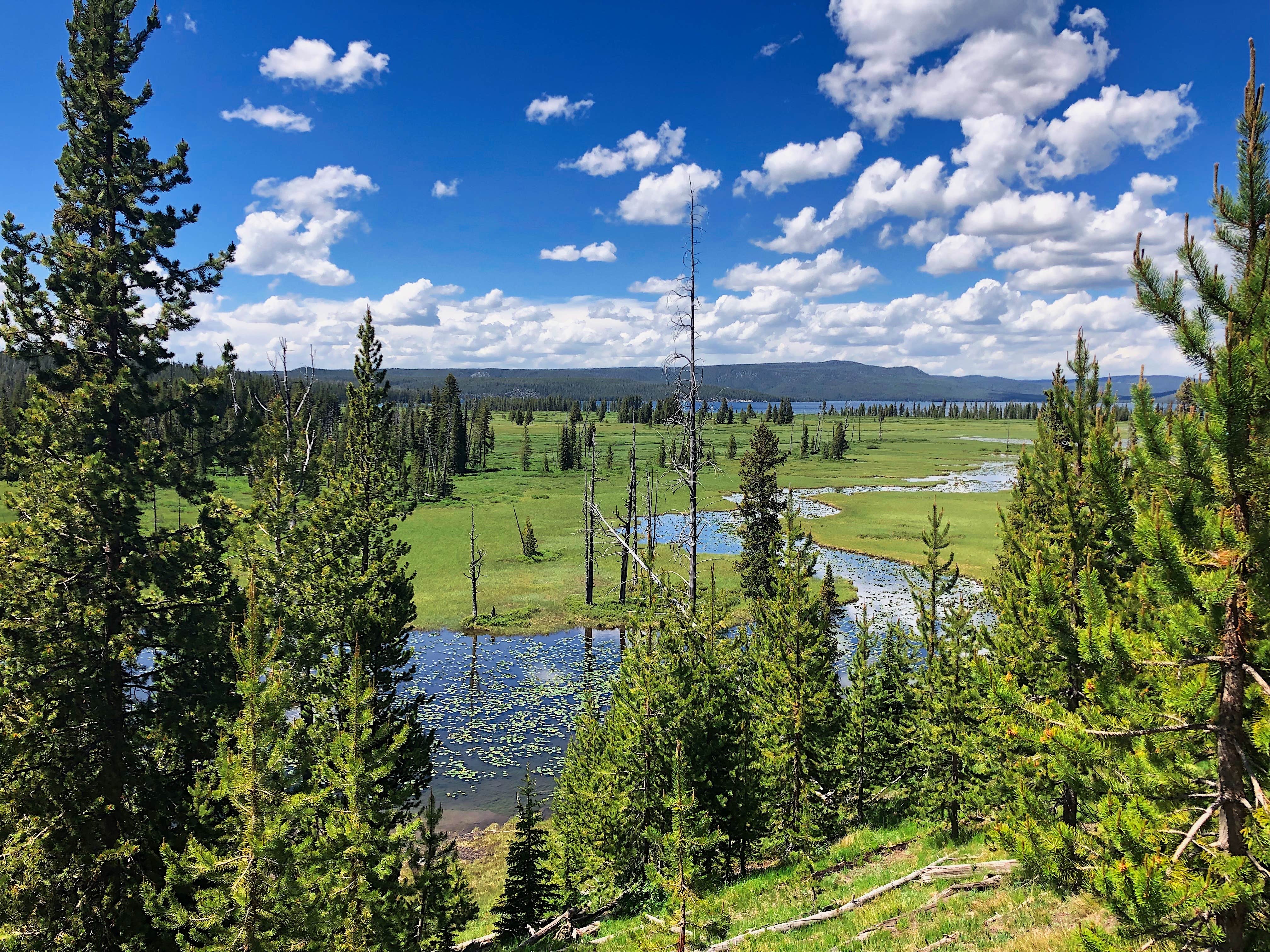 Camper-submitted photo at Shoshone Lake — Yellowstone National Park near Island Park, ID