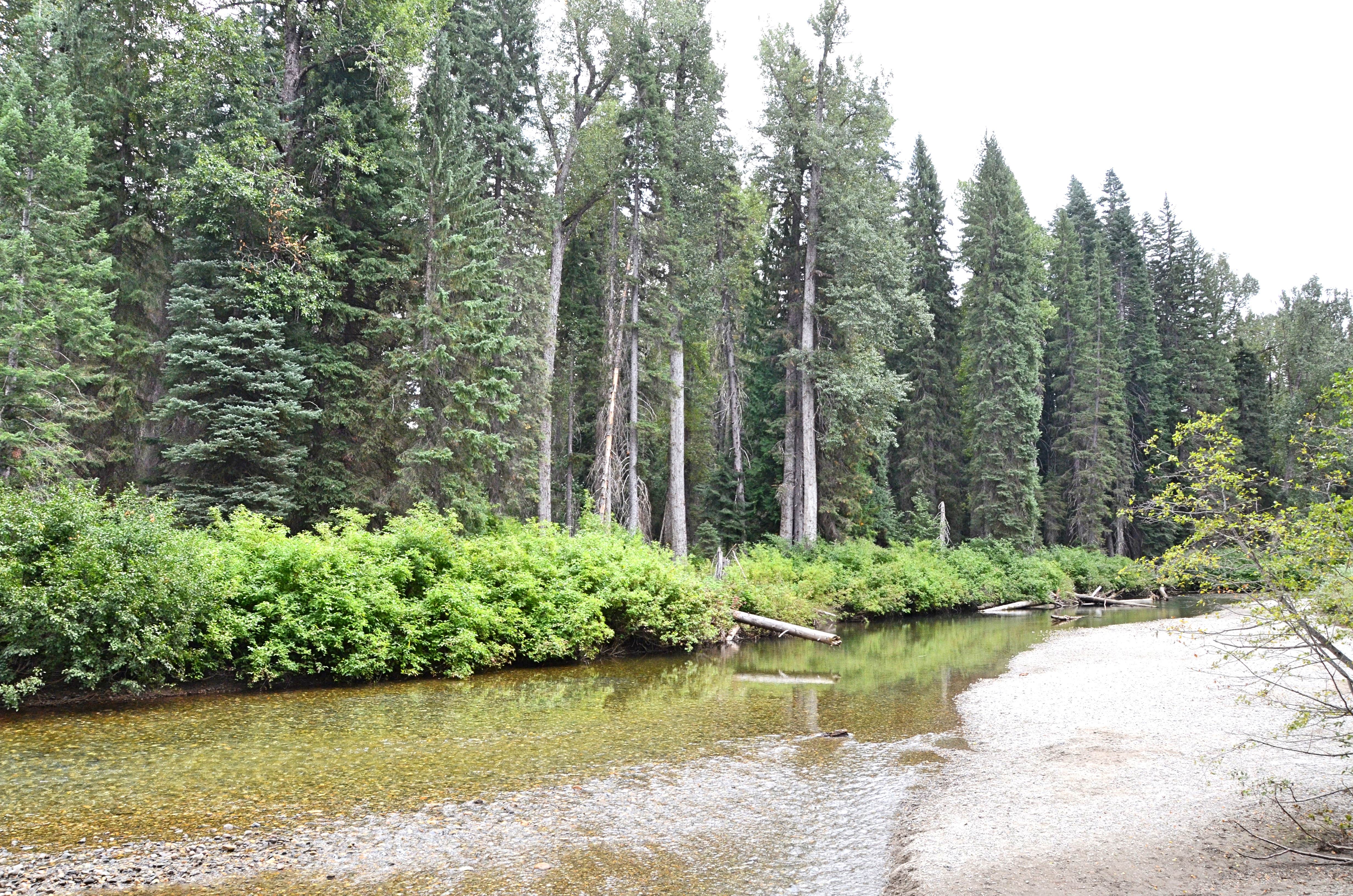 Camper submitted image from Riverbend Campground - 2