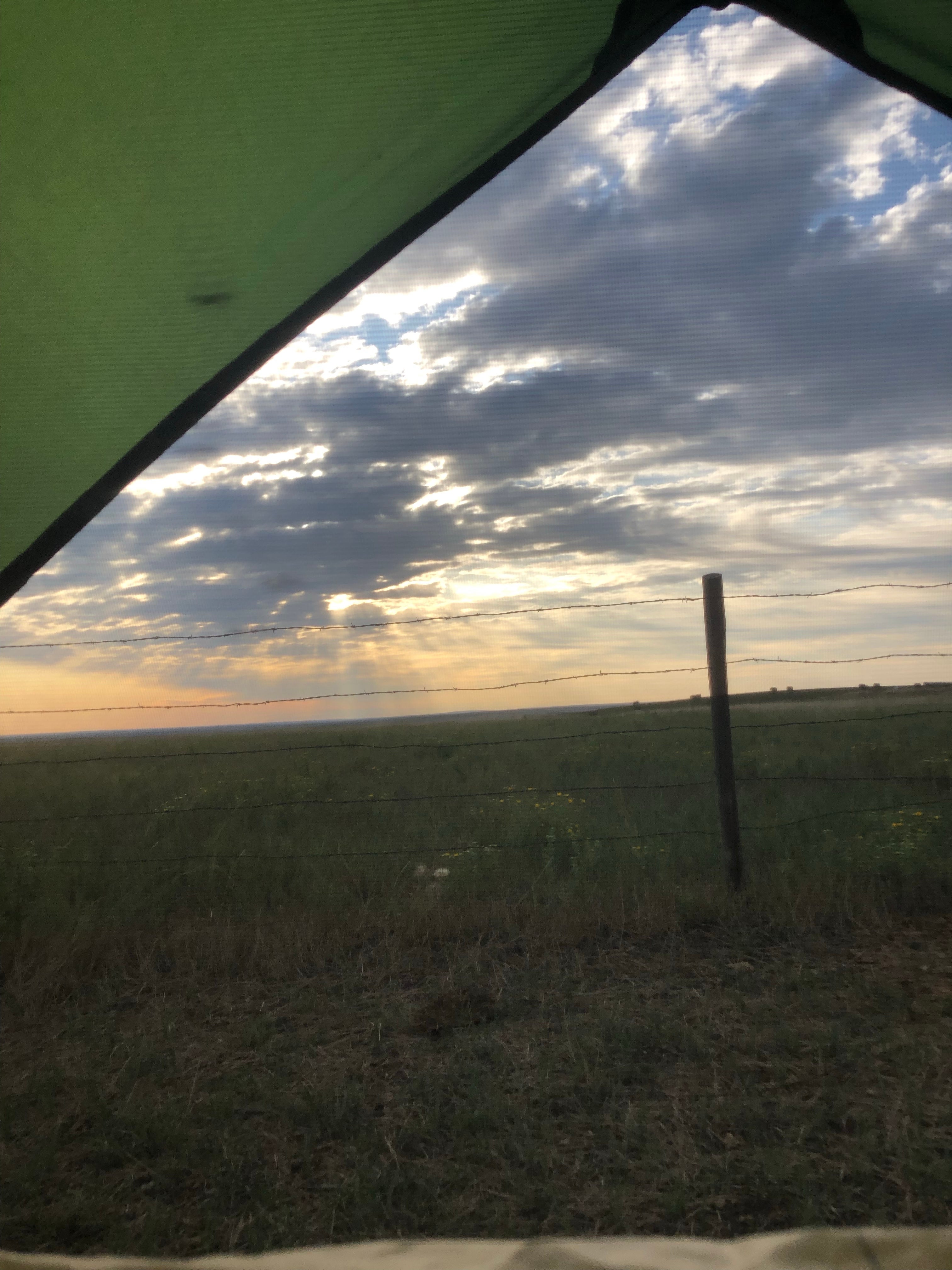 Camper submitted image from Fort Pierre National Grassland Dispersed Camping - 2