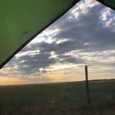 Review photo of Fort Pierre National Grassland Dispersed Camping by Lucille W., April 10, 2020