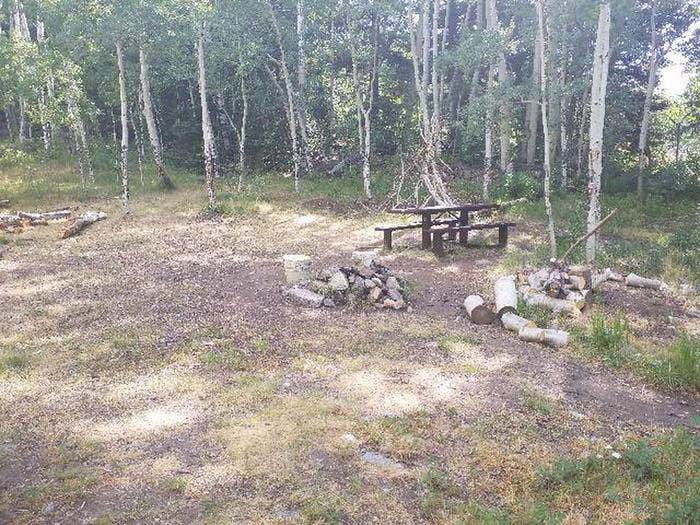 Camper submitted image from Dawson Cabin - 4