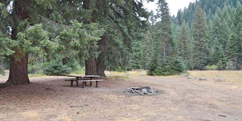 Camper submitted image from Riverbend Campground