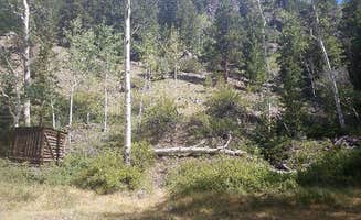 The Dyrt's photo of a cabin at Dawson Cabin near Leadville, CO