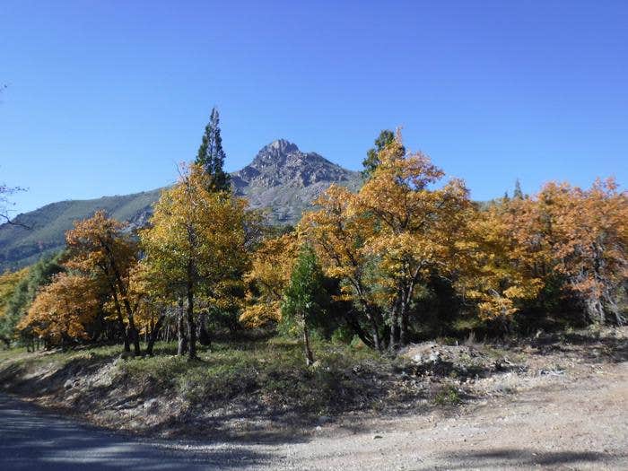 Camper submitted image from Tahoe National Forest Wild Plum Campground - 5