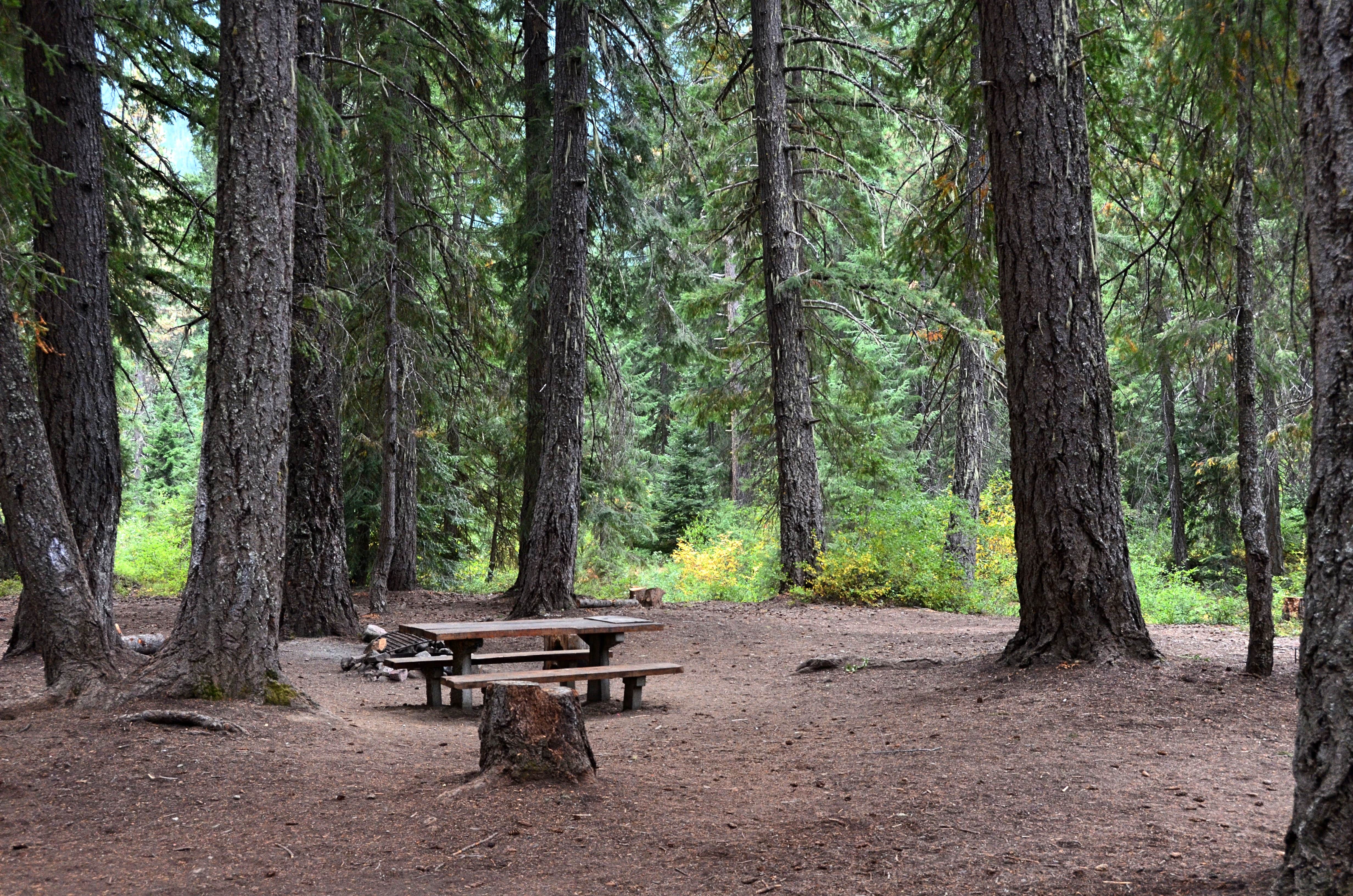 Camper submitted image from Rock Creek Campground — Okanogan Wenatchee National Forest - 1