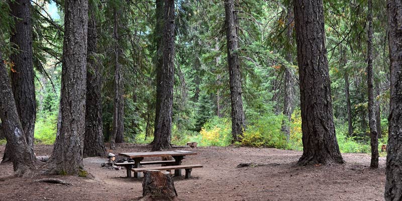 Camper submitted image from Rock Creek Campground — Okanogan Wenatchee National Forest