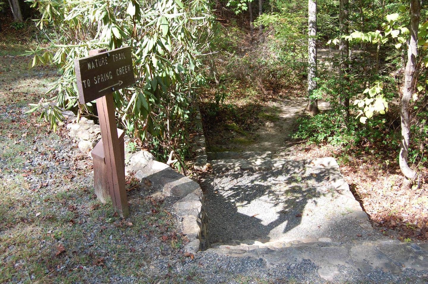 Camper submitted image from Rocky Bluff Campground — National Forests In North Carolina - 5