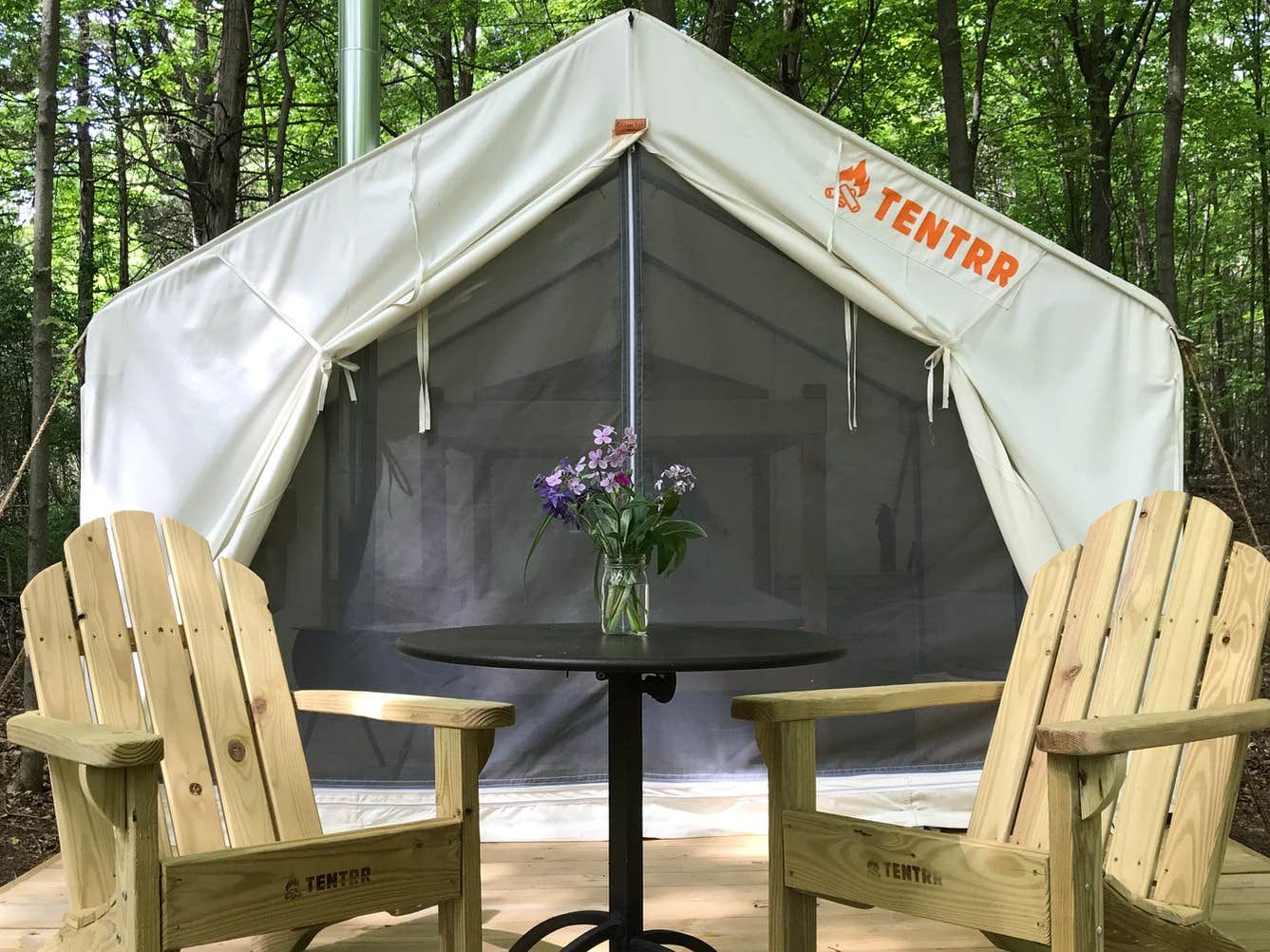 The Dyrt's photo at Tivoli Trails near Tivoli, NY