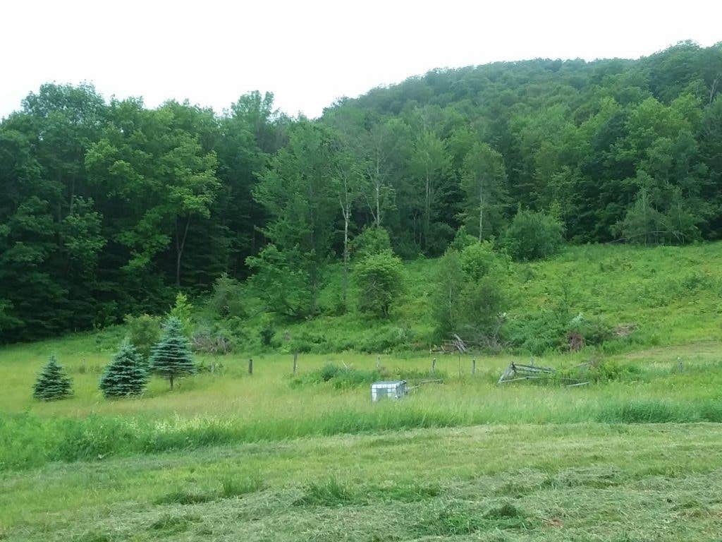 View All