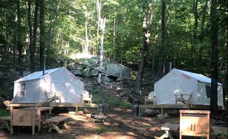 The Dyrt's photo at Lopardo Woods near Holmes, NY