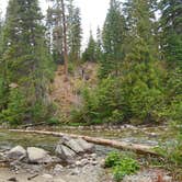 Review photo of Goose Creek Campground by Mercedes D., September 11, 2017