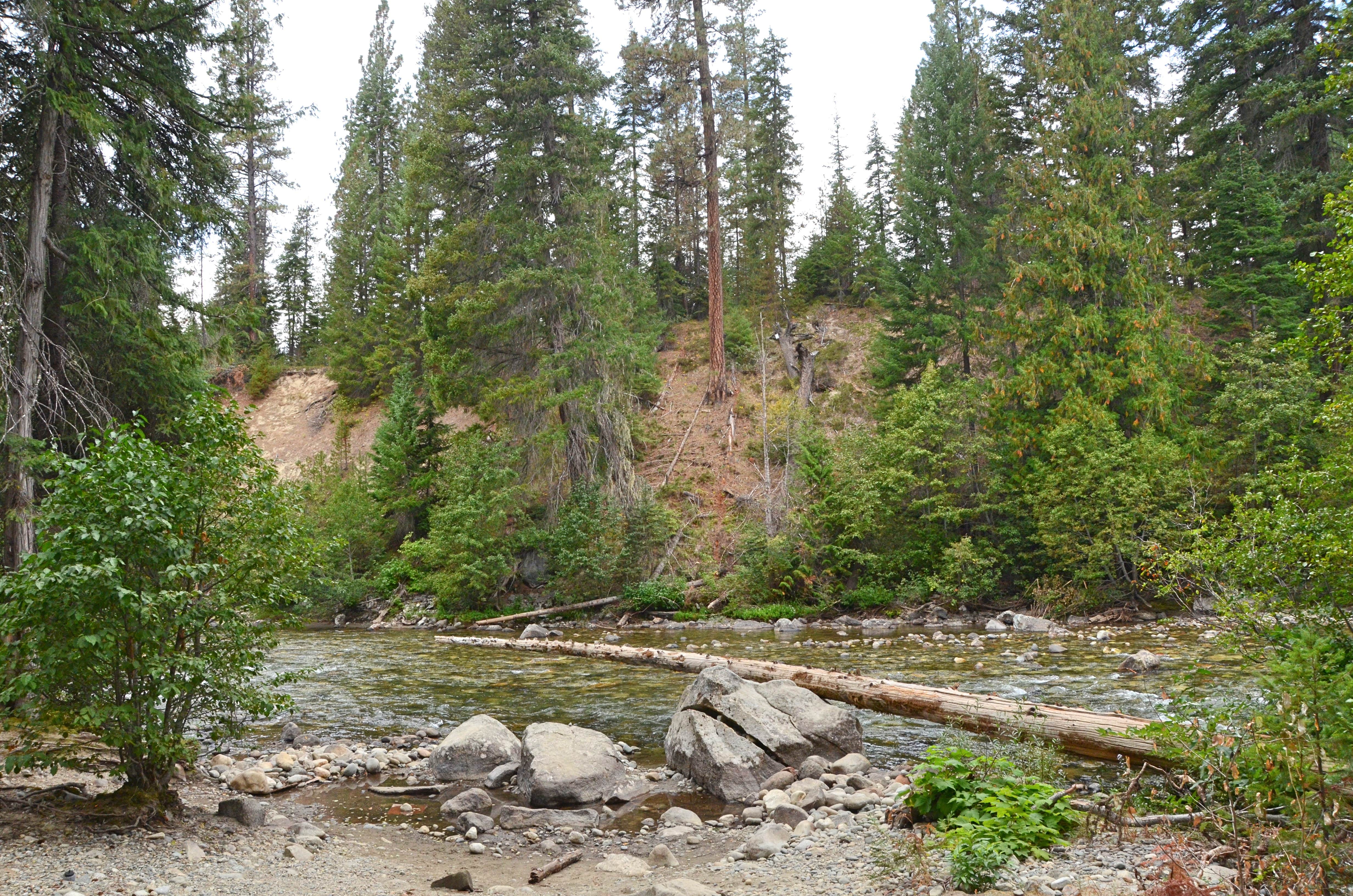 Camper submitted image from Goose Creek Campground - 3