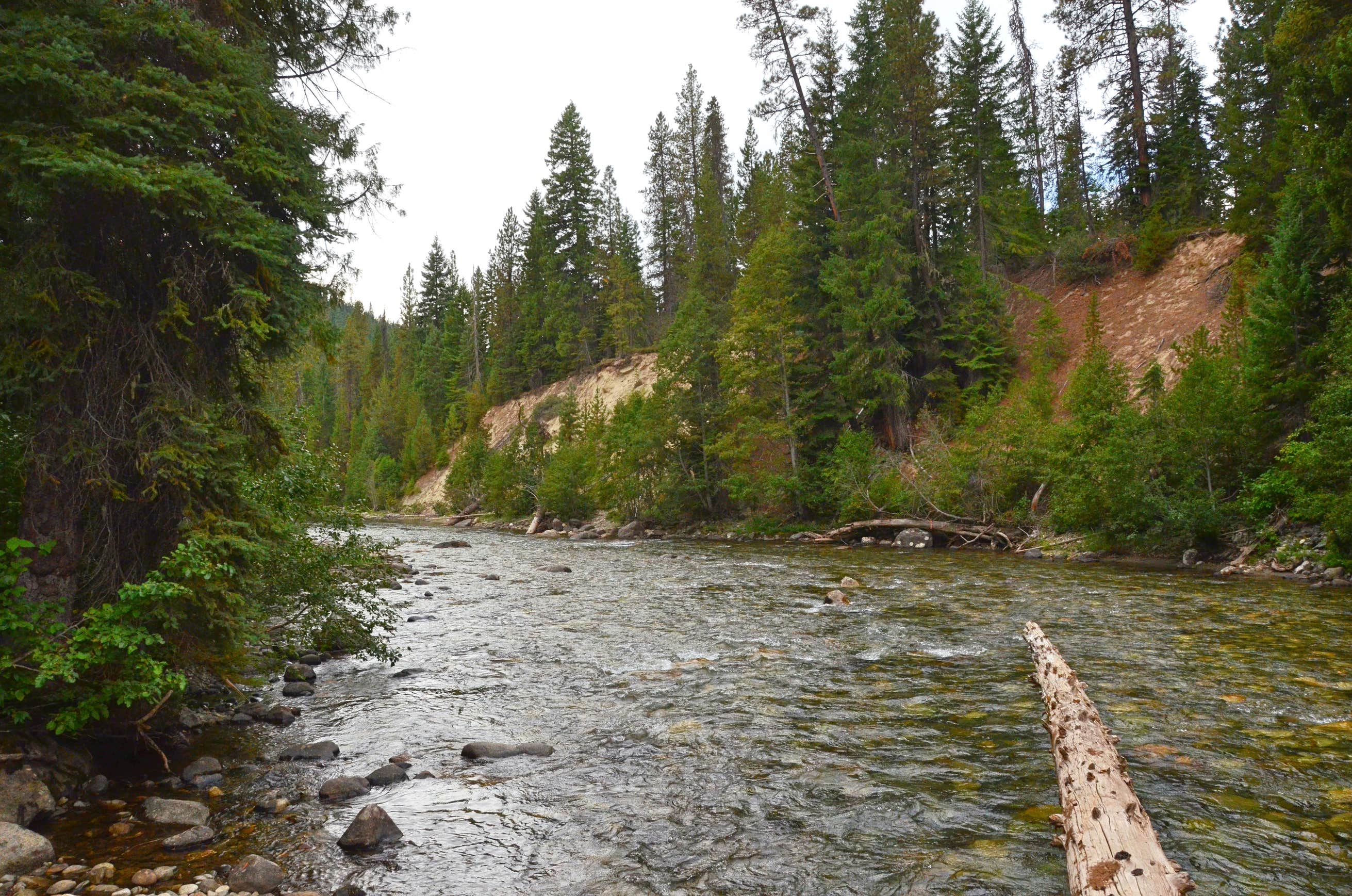 Goose Creek Campground The Dyrt