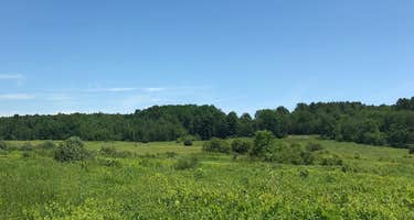 Your Own Private Meadow