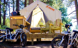 The Dyrt's photo at Hidden Trails Campsite near Poughkeepsie, NY