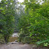 Review photo of Nason Creek Campground by Mercedes D., September 11, 2017