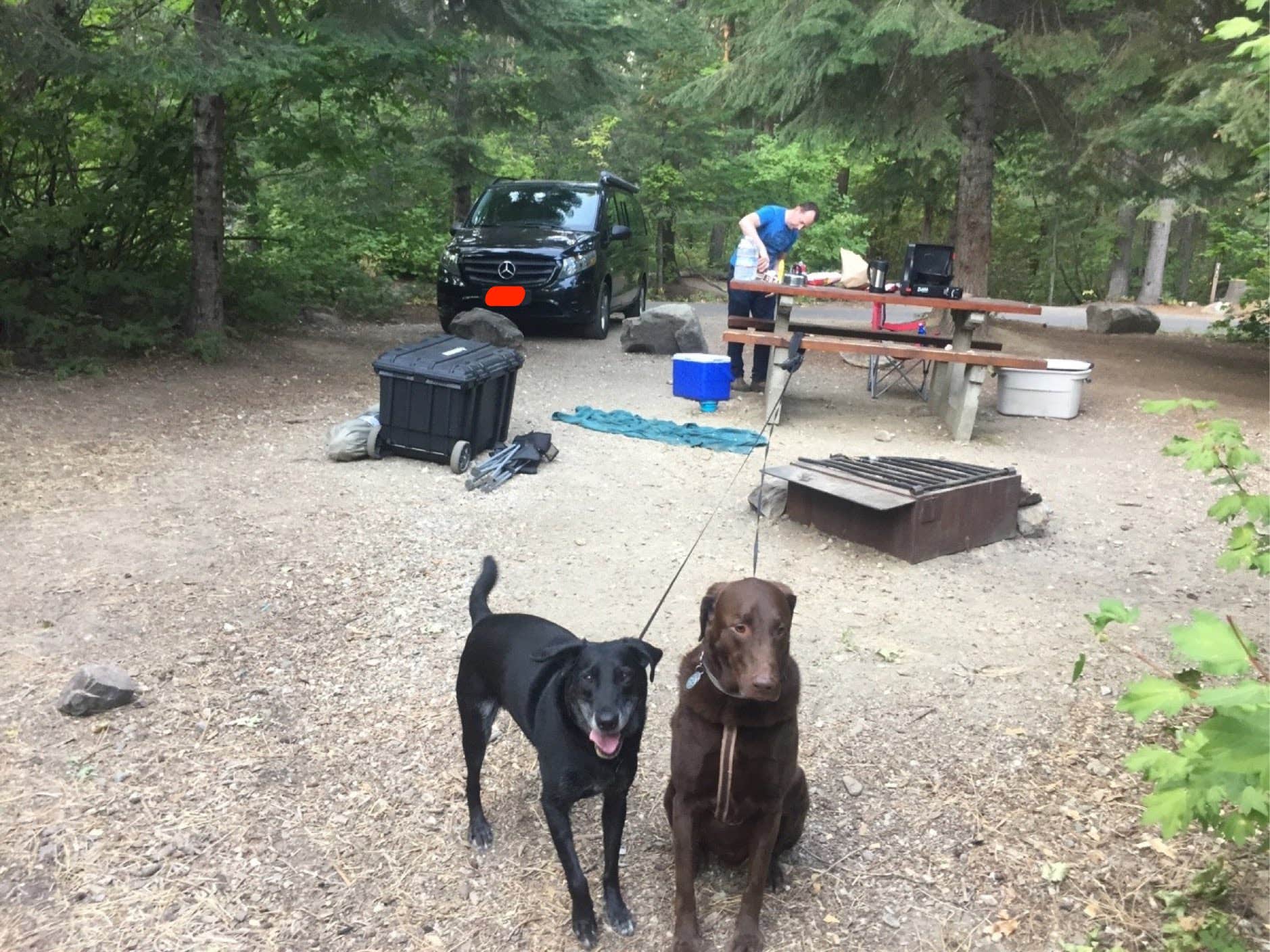 Mercedes D.'s photo of camping with pets at Nason Creek Campground near Leavenworth, WA