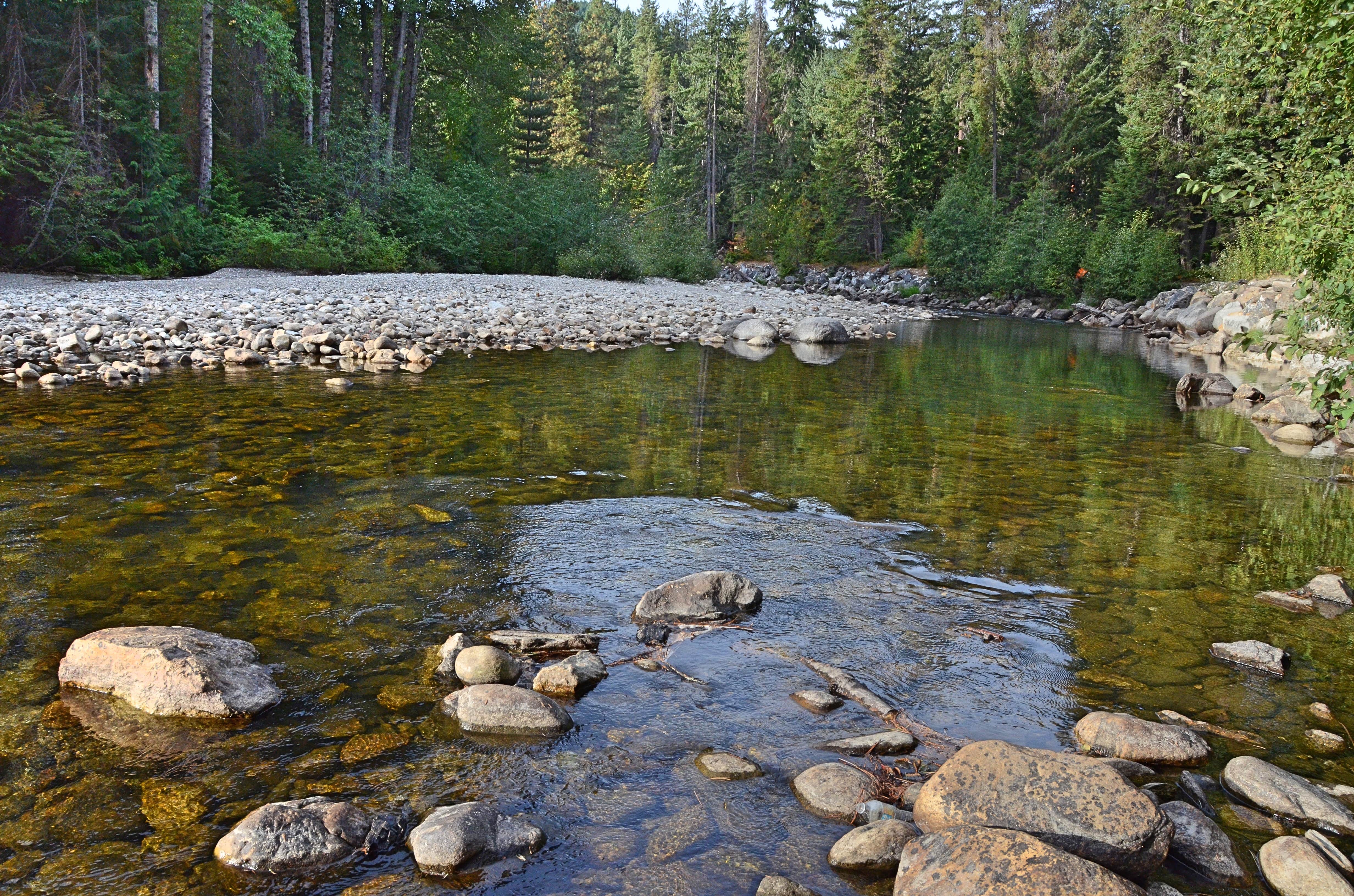 Camper-submitted photo at Nason Creek Campground near Leavenworth, WA