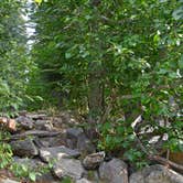 Review photo of Nason Creek Campground by Mercedes D., September 11, 2017