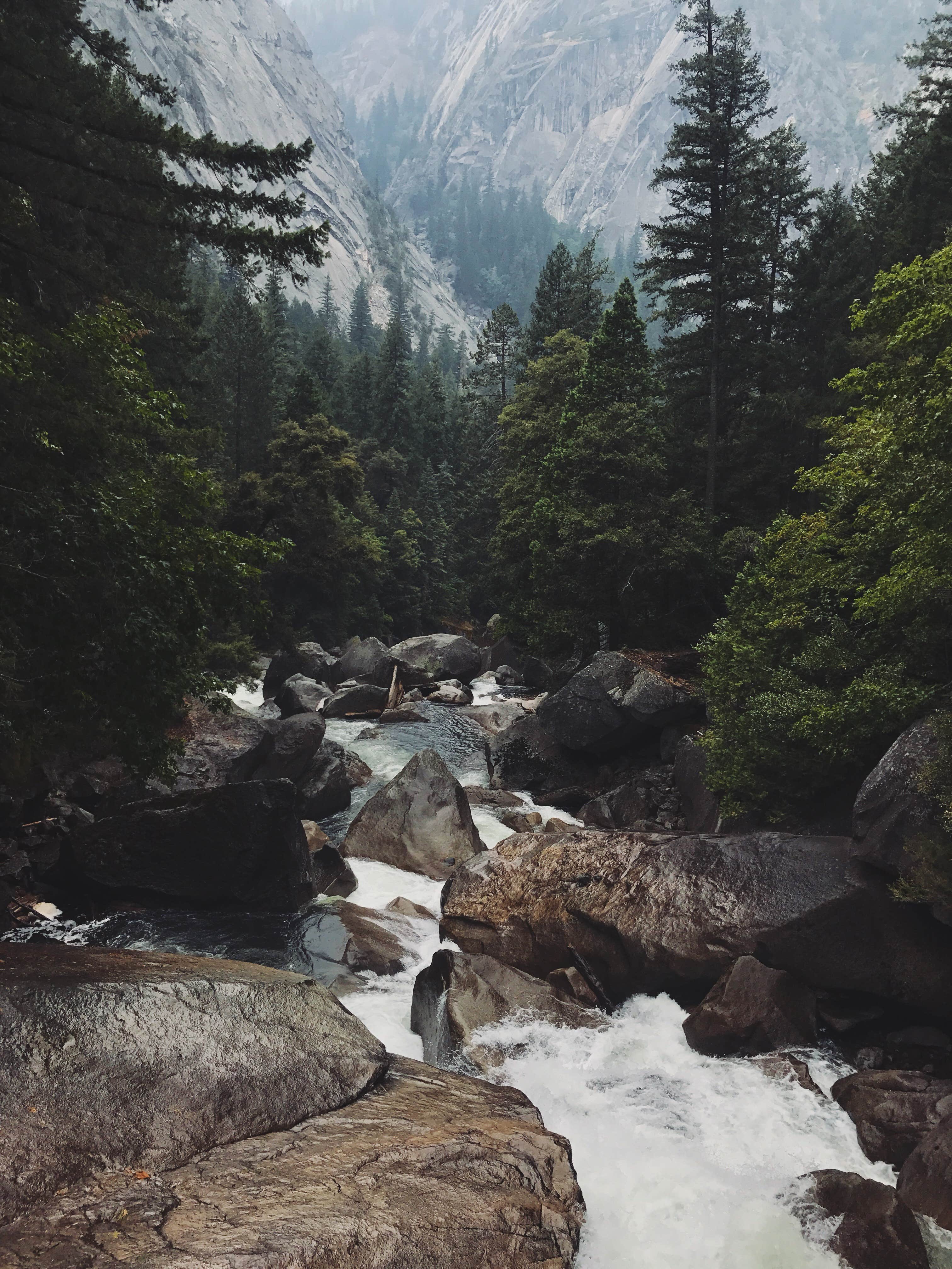 Camper submitted image from Yosemite Valley Backpacker's Campground — Yosemite National Park - 5