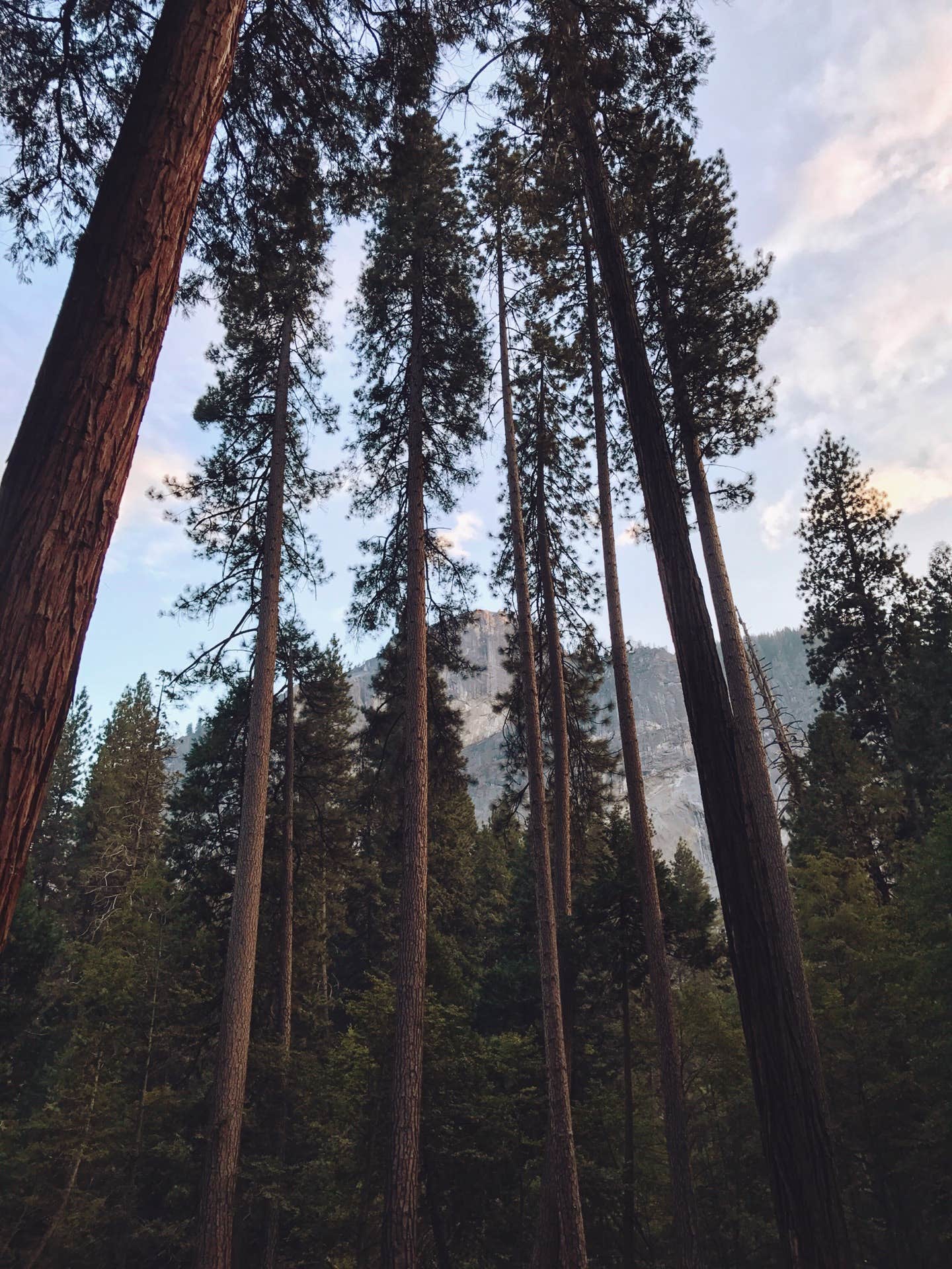Camper submitted image from Yosemite Valley Backpacker's Campground — Yosemite National Park - 2