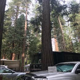 Yosemite Valley Backpacker's Campground — Yosemite National Park