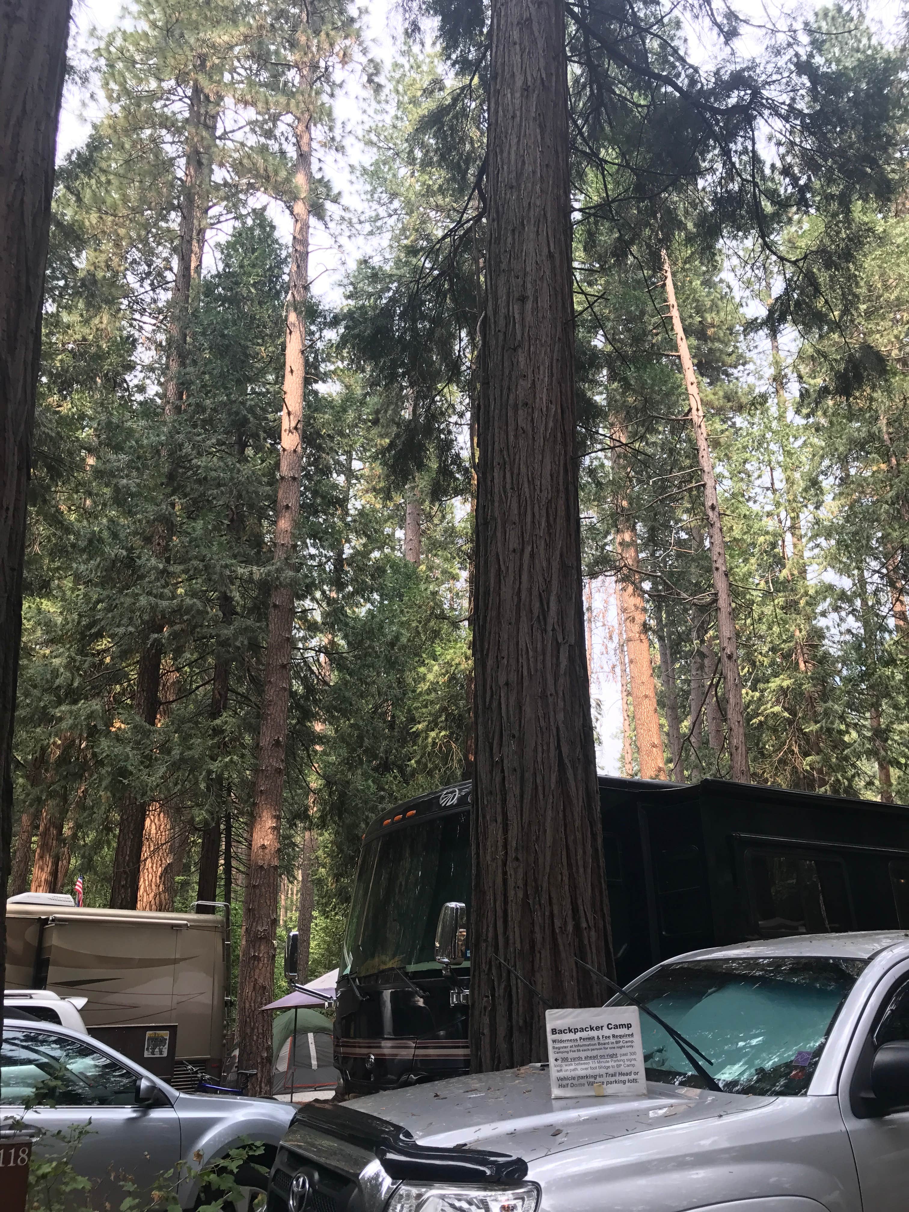 Camper submitted image from Yosemite Valley Backpacker's Campground — Yosemite National Park - 1
