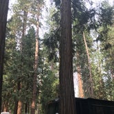 Review photo of Yosemite Valley Backpacker's Campground — Yosemite National Park by Anna C., September 11, 2017