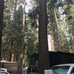 Yosemite Valley Backpacker's Campground — Yosemite National Park