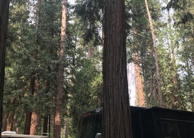 Yosemite Valley Backpacker's Campground