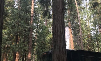 Camper-submitted photo from Yosemite Valley Backpacker's Campground — Yosemite National Park
