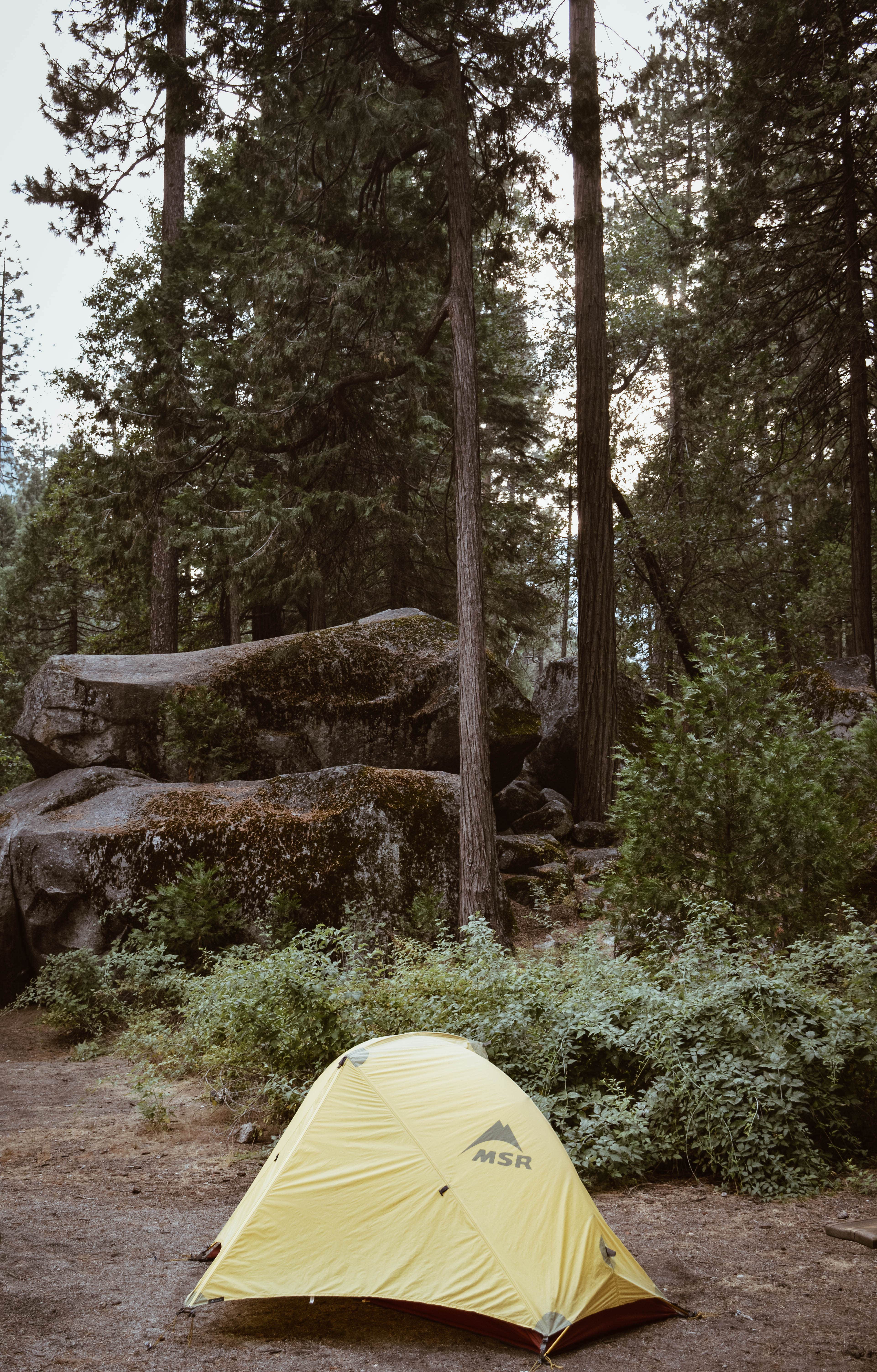 Camper submitted image from Yosemite Valley Backpacker's Campground — Yosemite National Park - 3