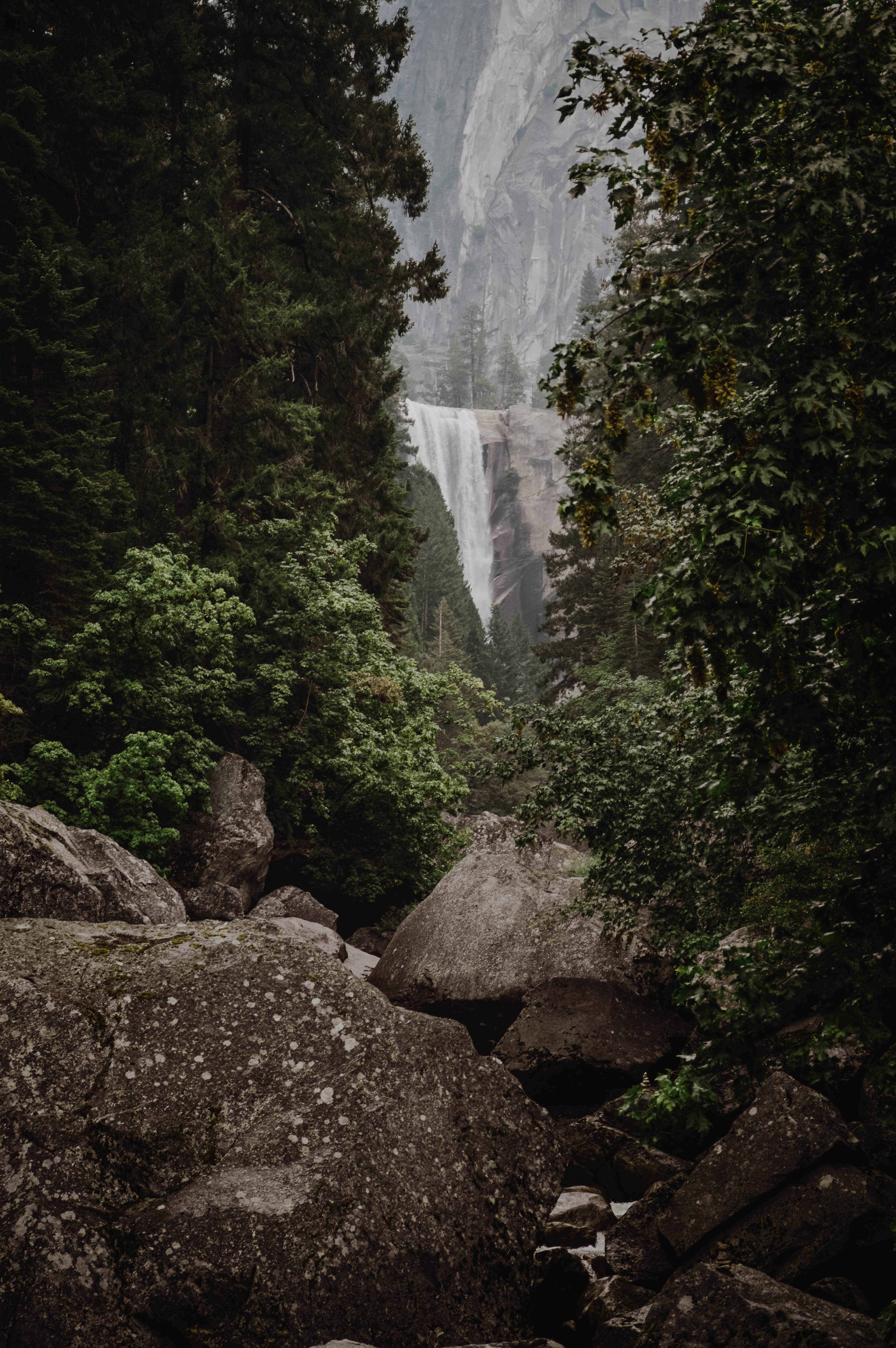 Camper submitted image from Yosemite Valley Backpacker's Campground — Yosemite National Park - 4