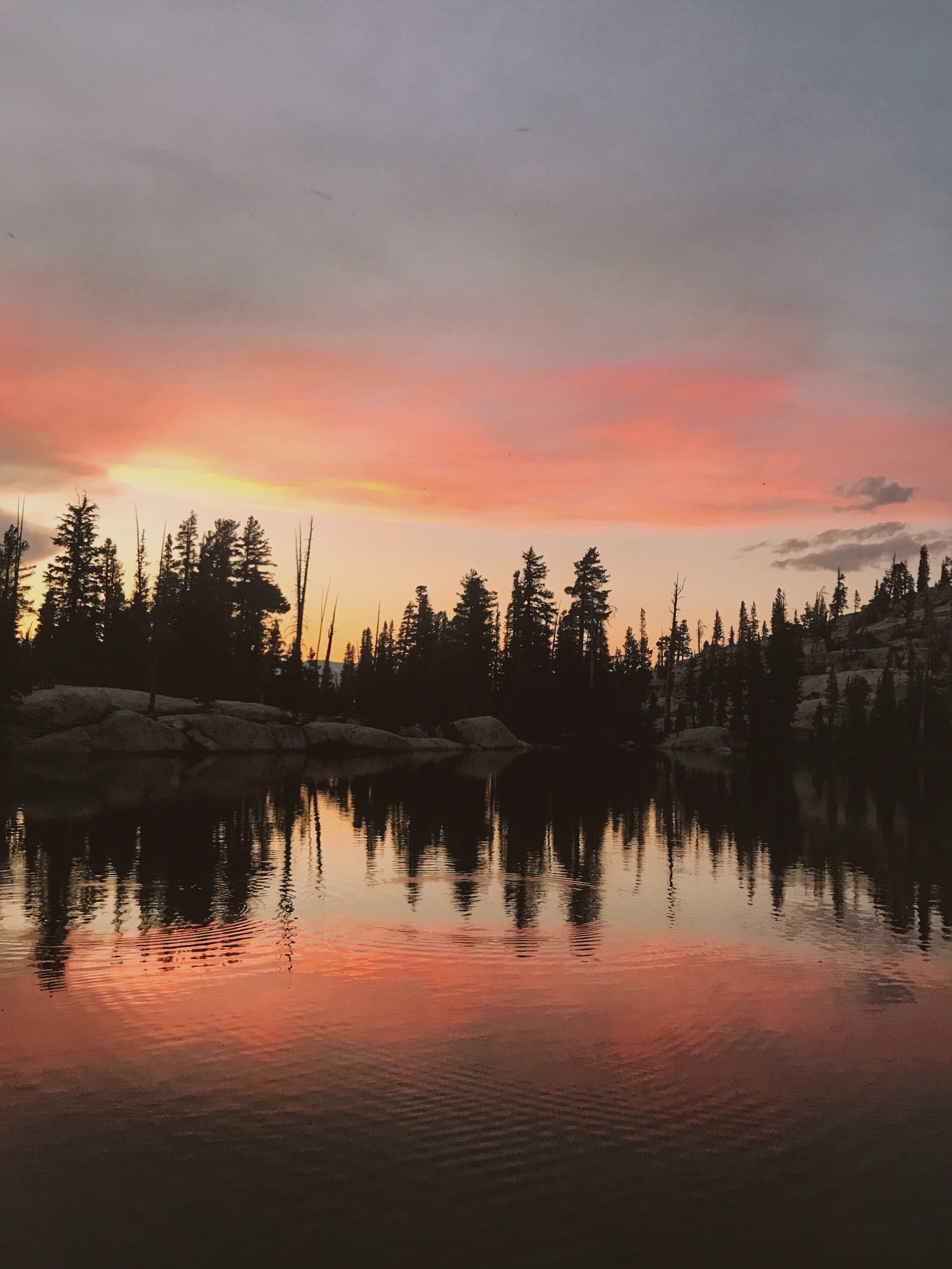 Camper submitted image from Sunrise Lakes Backcountry Camp — Yosemite National Park - 2